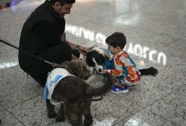 Аеропорт Стамбулу найняв собак-терапевтів: вони заспокоюватимуть туристів