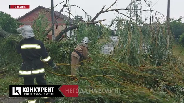 Гроза на Волині: блискавка спалила дві будівлі на Поліссі (відео)