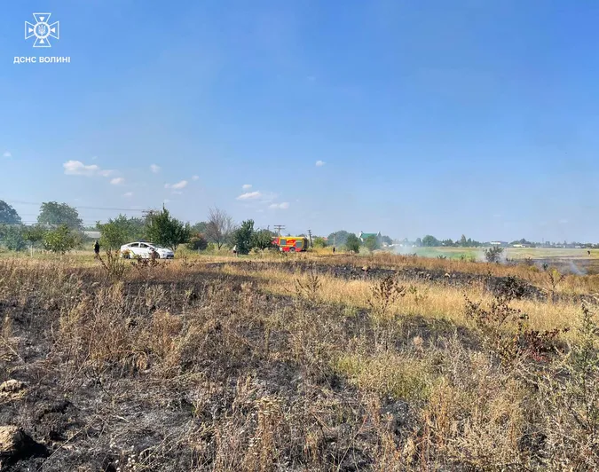 У трьох волинських селах – масштабні пожежі на полях (фото)