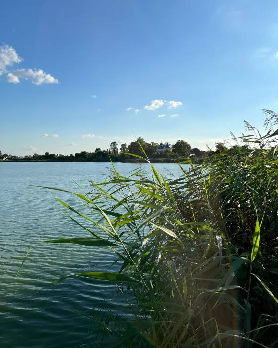 Прозора вода і багато риби: в селі на Ковельщині є озеро для відпочинку душею і тілом (фото)