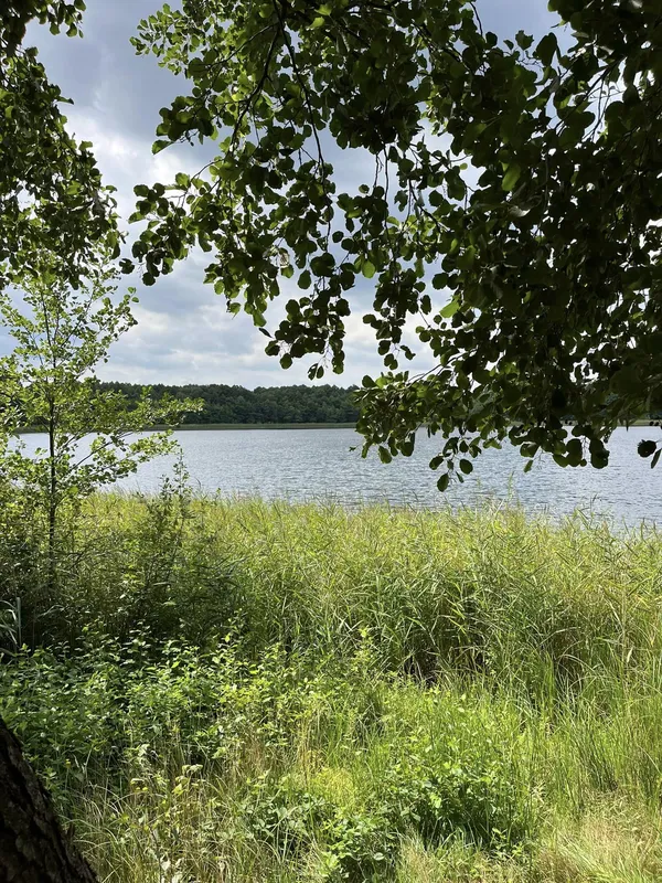 Піщані береги і кришталева вода: на Волині є озеро, де можна і покупатися, і зловити щуку (фото)