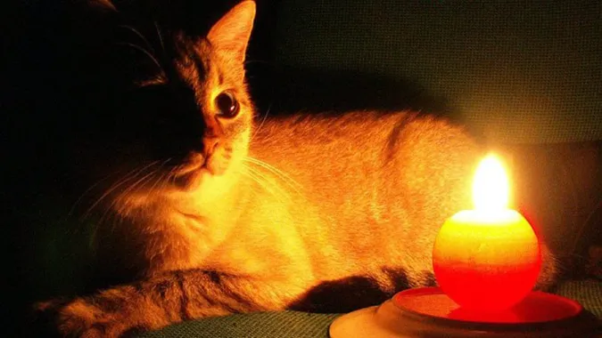 Де в Луцьку не буде світла у вівторок, 21 грудня