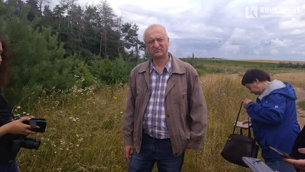 Ліс на Волині гине: його нищать шкідники і недосконалі закони