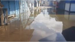 На затопленому ринку в Чернівцях чоловік спіймав рибу руками (відео)
