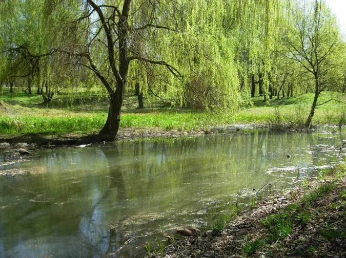 У центрі Луцька невідомі зливають екскременти в Сапалаївку