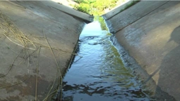 У Луцьку русло річки Жидувки очищають від сміття та гілок (фото)