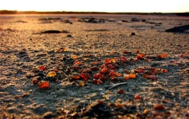 На Волині існує проблема з охороною місць видобутку бурштину
