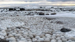 У Фінляндії знайшли пляж із льодяних куль  (фото)