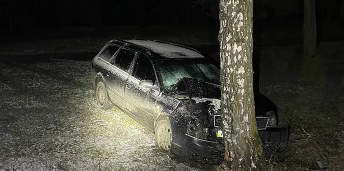 У Ковелі вночі п'яний на Audi втікав від патрульних і протаранив дерево (фото)