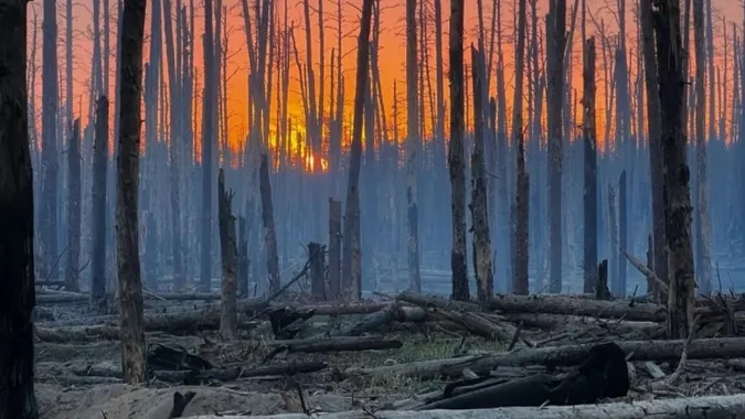 Фото ілюстративне
