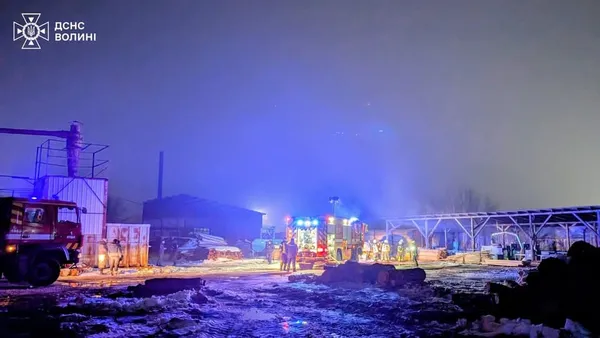 У Луцьку вночі загорівся господарський навіс (фото)