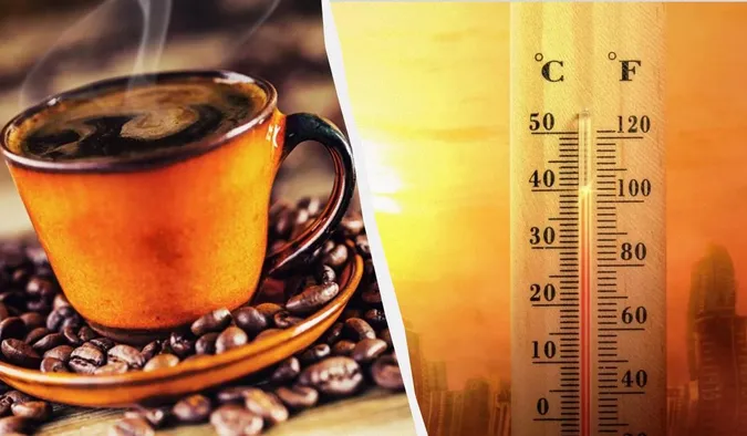 Що буде, якщо пити багато кави у спеку: 5 небезпечних наслідків