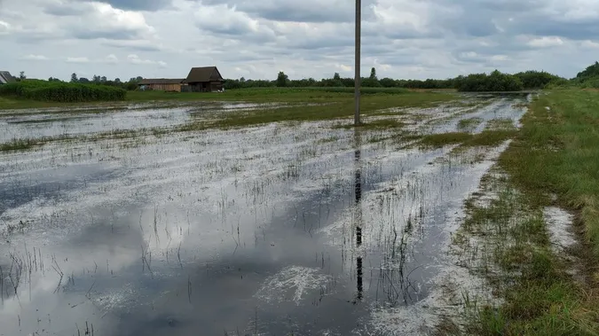 Підтоплені гектари полів: на Волині рятують урожай (відео)