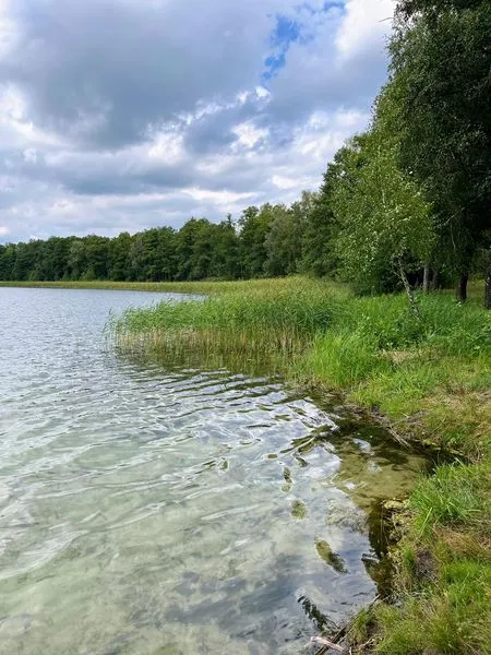 Піщані береги і кришталева вода: на Волині є озеро, де можна і покупатися, і зловити щуку (фото)