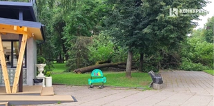 ⛔ У Центральному парку Луцька на алею впало величезне дерево