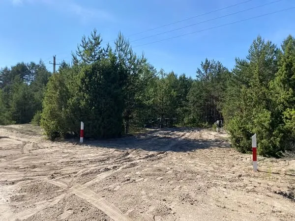 В нацпарку на Волині подбали про захист від пожеж: що зробили (фото)