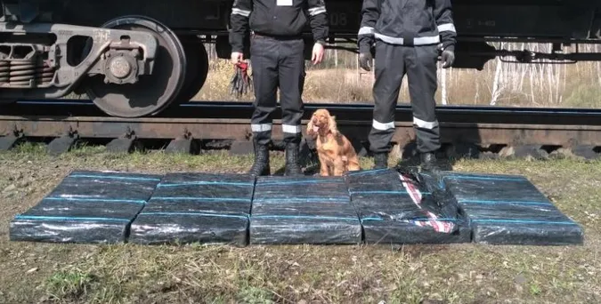 На волинському кордоні у вагоні з вугіллям знайшли партію цигарок