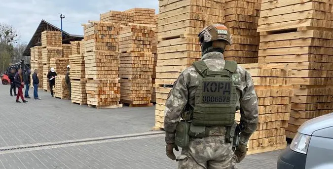 На волинському підприємстві знайшли 1200 кубів «лівої» деревини (фото)