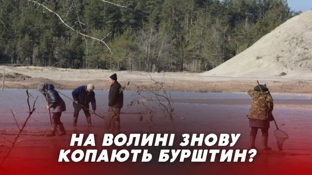 Три роки затишшя: «бурштинова мафія» повертається (відео)