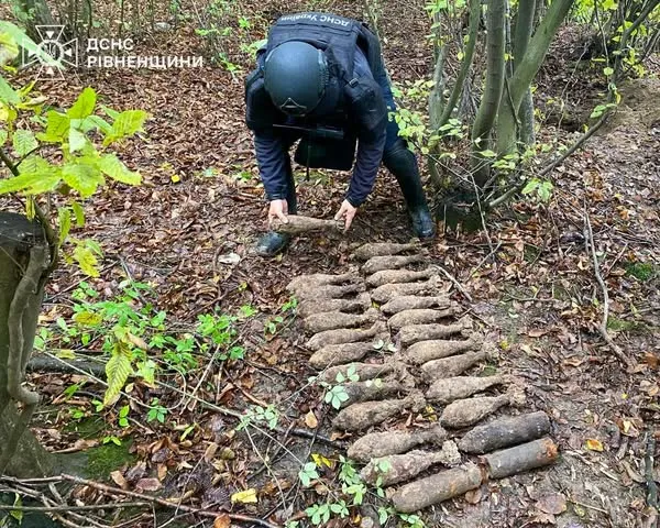 На Рівненщині грибник знайшов арсенал часів війни (фото)