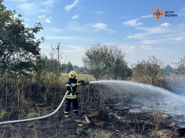 На Волині курці спалили пів гектара сухої трави (фото)