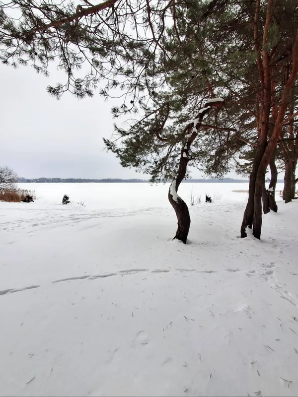 Яким стало популярне серед відпочивальників озеро біля Шацька (фото)