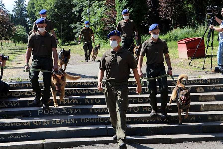 У Львові відбувся парад собак, які захищали країну на сході (фото)