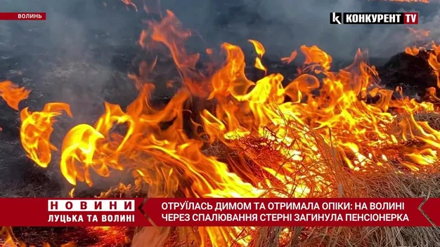 Отруїлась димом і отримала опіки: у Луцькому районі через спалювання стерні загинула пенсіонерка (відео)