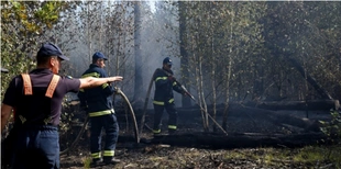 У Луцькому районі майже дві доби гасять масштабну лісову пожежу (фото)