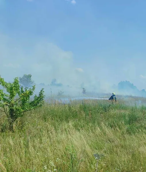 На Волині горіла трава, паліїв шукає поліція (фото)