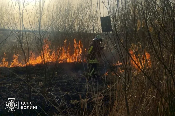 Волинь охопили масові пожежі, усі – з вини людей