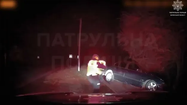 У Луцьку 17-річний хлопець на BMW втікав від патрульних і влетів у дерево (відео)