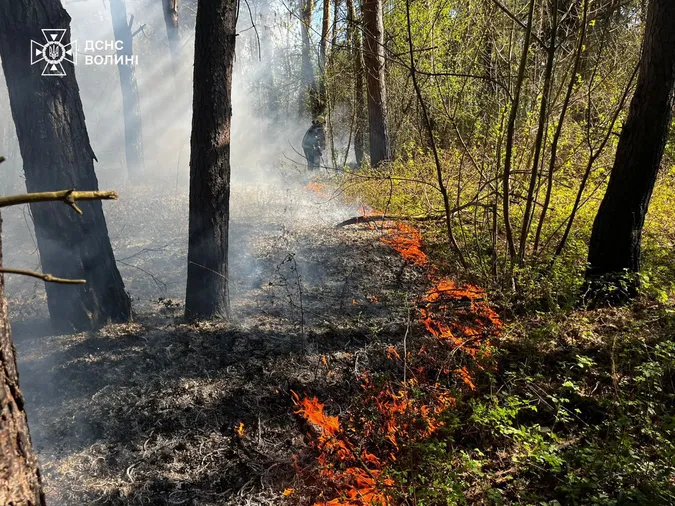 На Волині через дитячі пустощі спалахнули пожежі (фото)