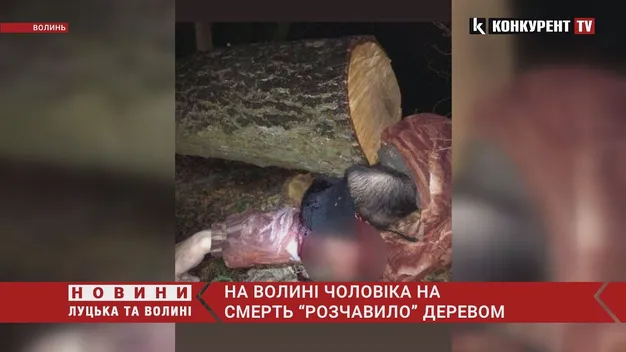 У Луцькому районі дерево розтрощило череп  лісорубу (фото, відео 21+)