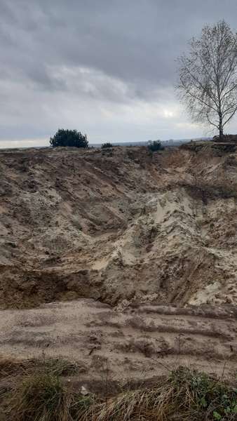 Відкрили кримінал: на Волині невідомі екскаваторами копали пісок (фото)