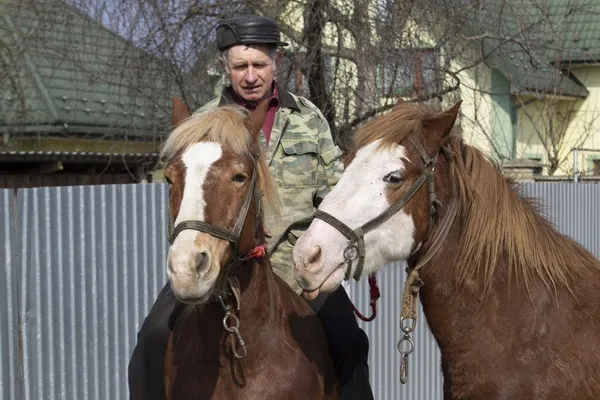Леонід Столярук верхи на коні