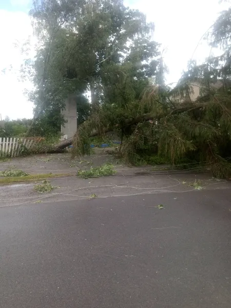Негода на Волині порозкривала хати та повалила дерева (фото, відео)