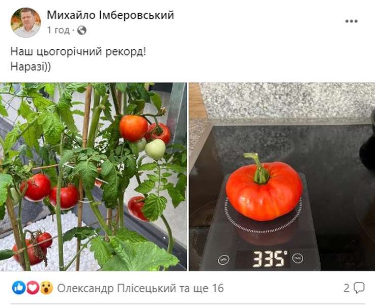 Скандальний волинський ексдепутат-втікач похизувався своїми помідорками (фото)