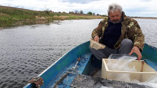 У Хрінницьке водосховище заселили 20 тисяч щук (відео)