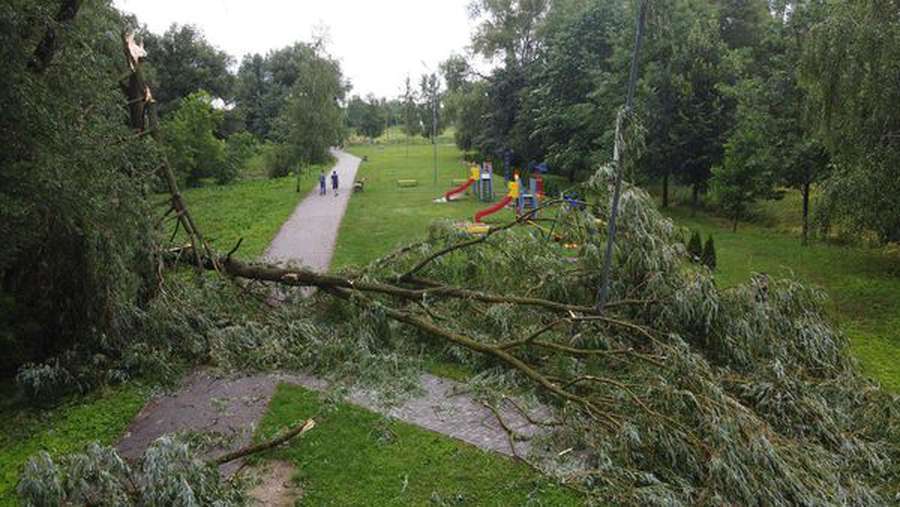 Зірвана покрівля та повалені дерева: у Володимирі бушує негода (фото, відео)