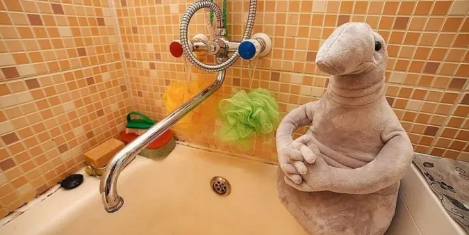 Частина лучан зустріне жовтень без гарячої води