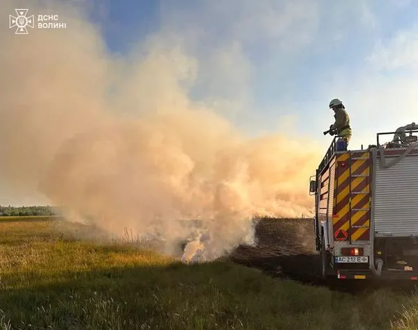 Між селами на Ковельщині загорілася суха трава (фото)