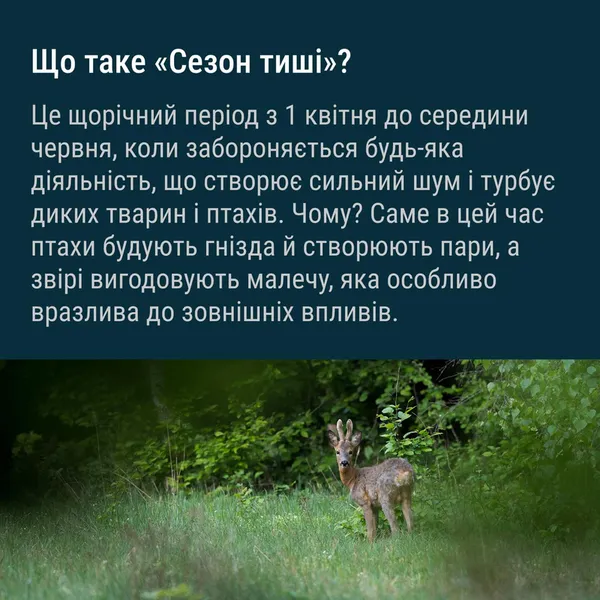 У лісах Волині заборонили кричати