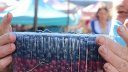 За скільки можна купити ягоди у Луцьку (фото)