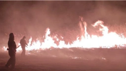 Зумисні підпали: за добу на Волині вигоріло понад 23 гектари землі (фото)