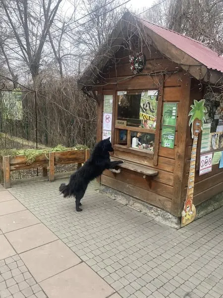 До луцького зоопарку прийшов незвичний відвідувач (фото)