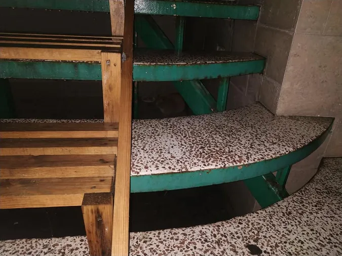 Будинок луцького котика зруйнували у новорічну ніч. Йому шукають новий дім (фото)
