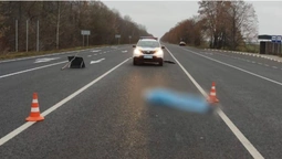 На Ковельщині авто збило на смерть 57-річного волинянина (фото, відео)