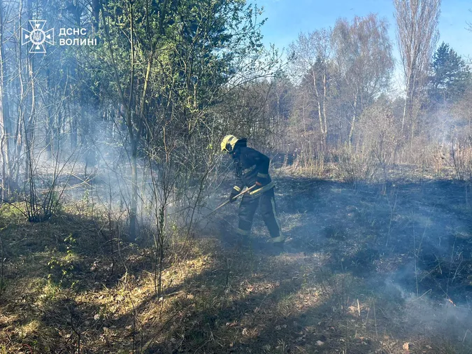 На Волині через дитячі пустощі спалахнули пожежі (фото)