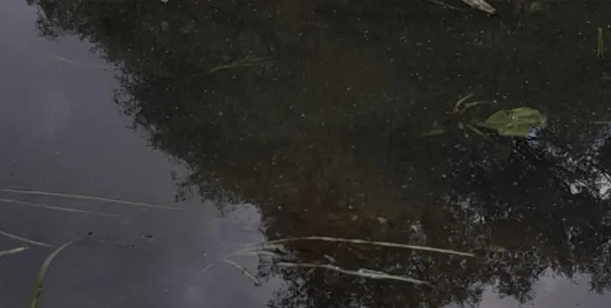 Вода в Стиру раптово стала мутною: що сталося з річкою